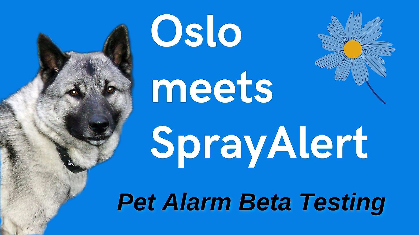 Oslo Meets SprayAlert